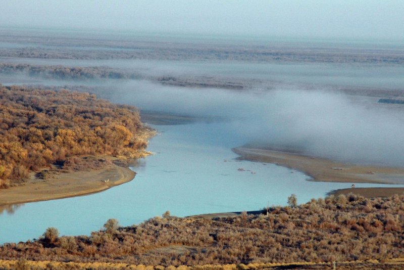 Река Сырдарья в Казахстане