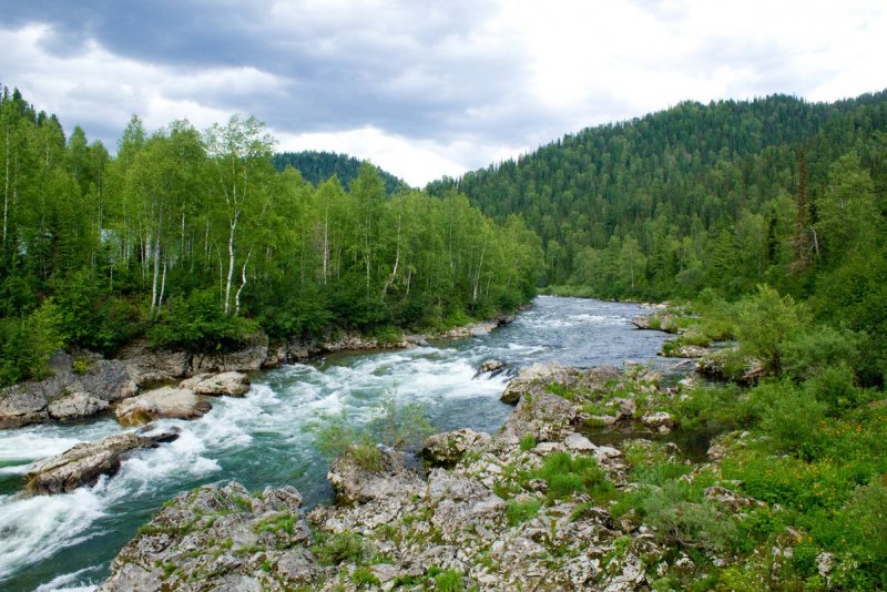 Река Казыр Междуреченск