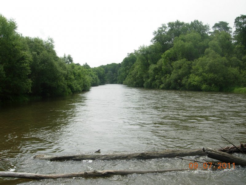 Река Арсеньевка Приморский