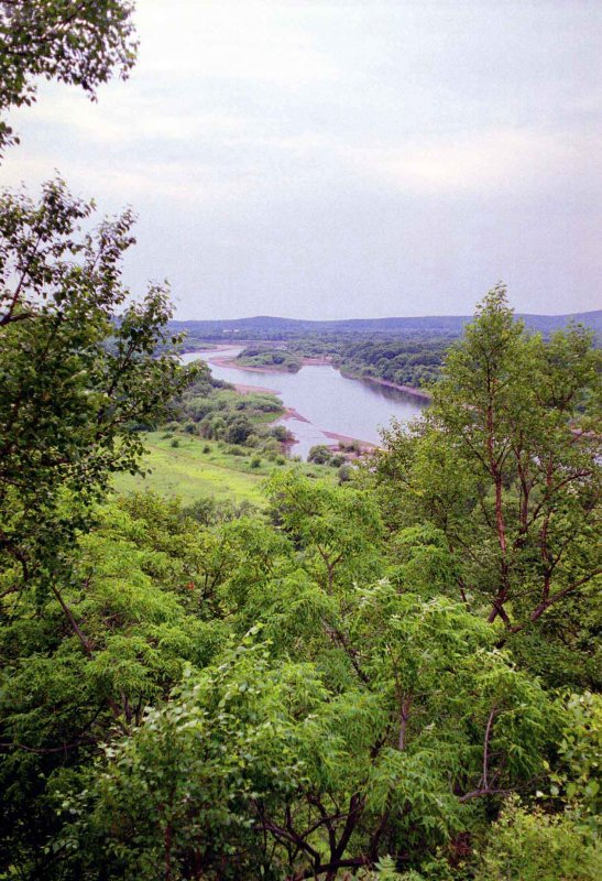 Приморье природа река Уссури