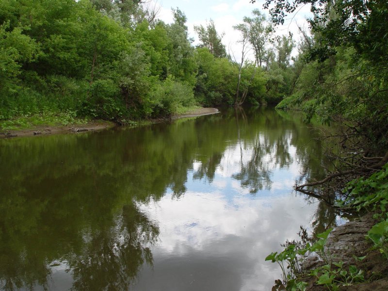 Река Плавица в Липецкой области