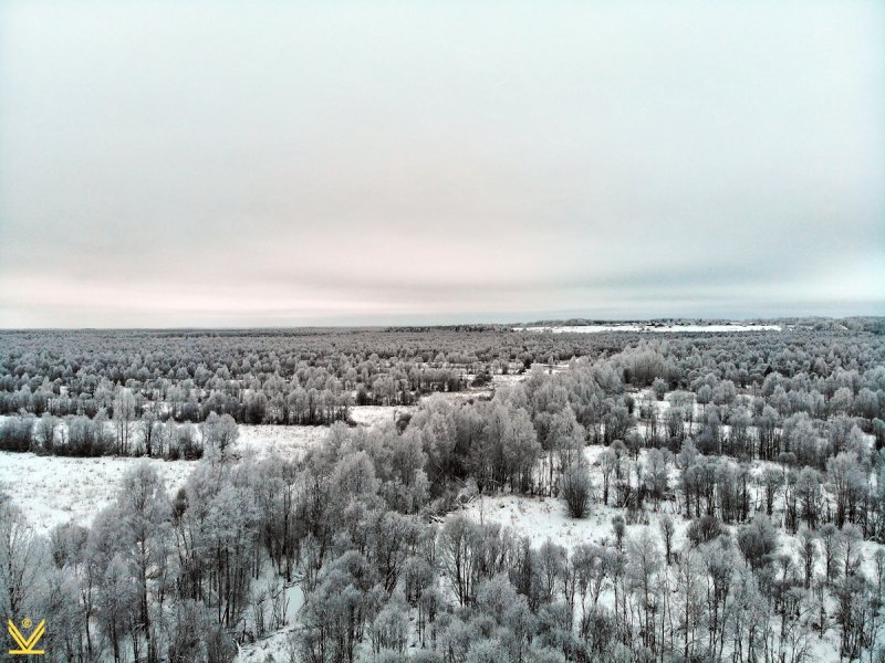 Река Кодина Архангельской области