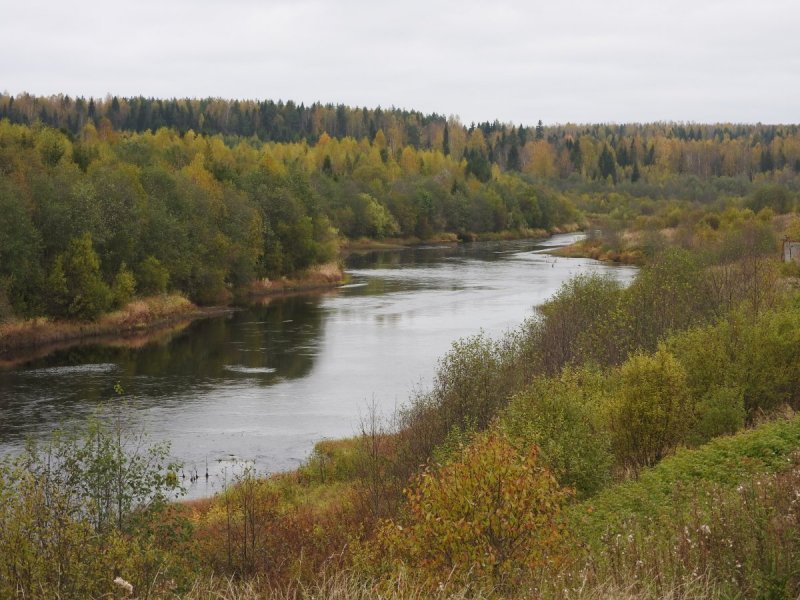 Река Кулой Архангельской области