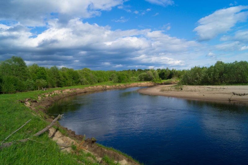 Река Кулой Архангельской области