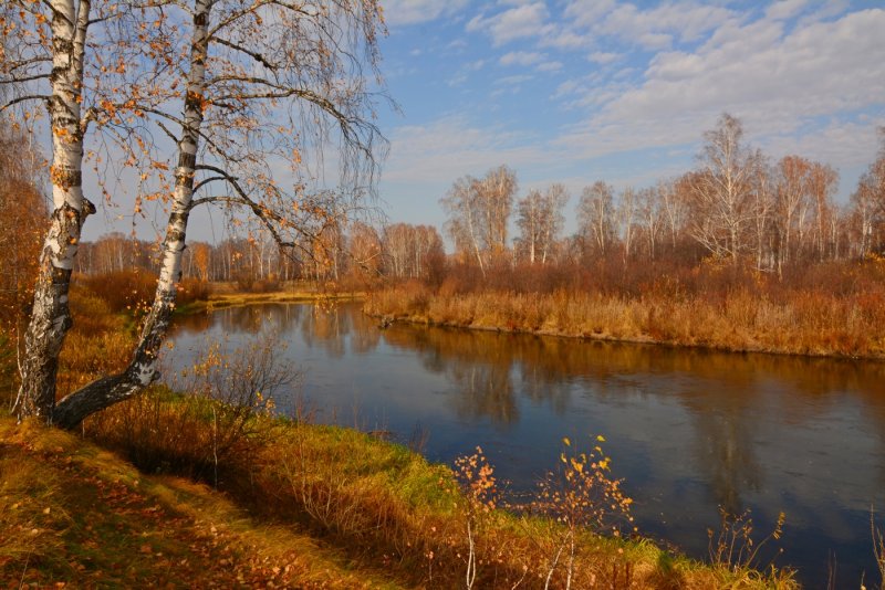 Река Омка Новосибирская область