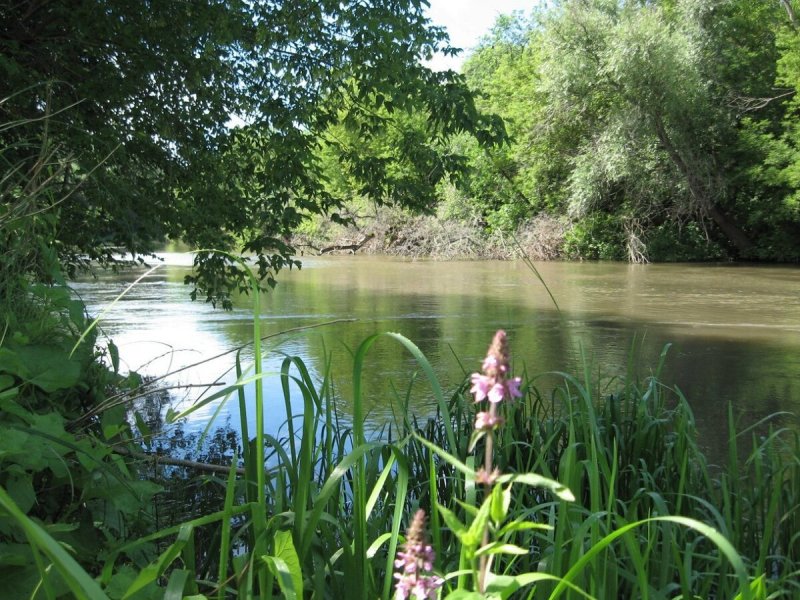 Река Дема весной