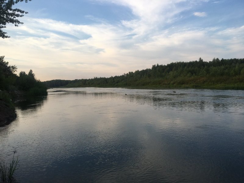 Река Плюсса Сланцевский район