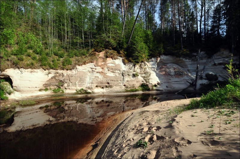 Река Люта Псковская область