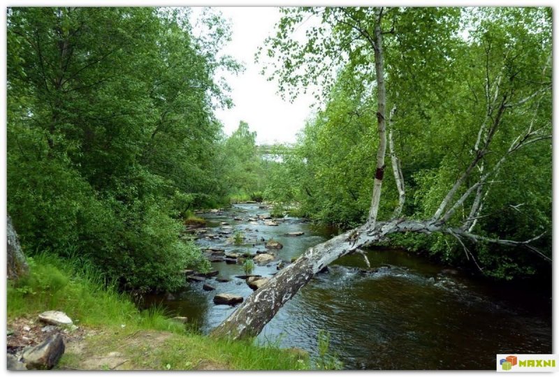 Река Северка Свердловская область