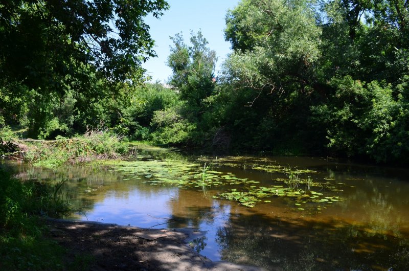 Река Медведица Петровск Саратовская область
