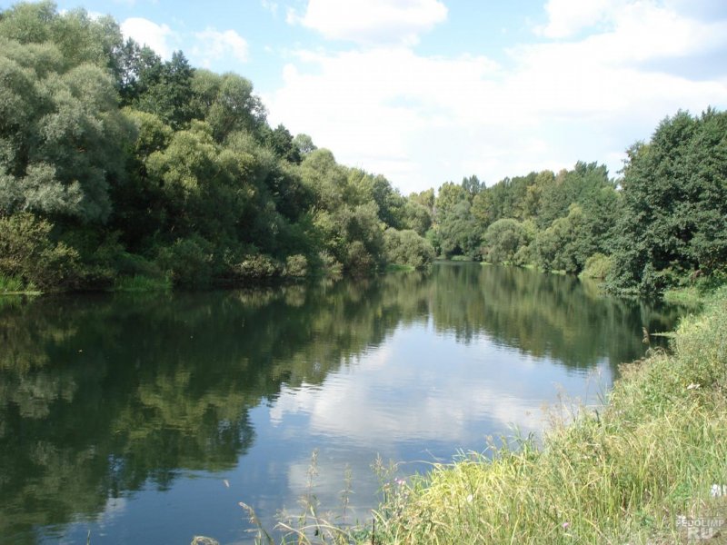 Исток реки Оскол в Белгородской области