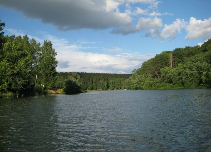 Река синичка Красногорский район