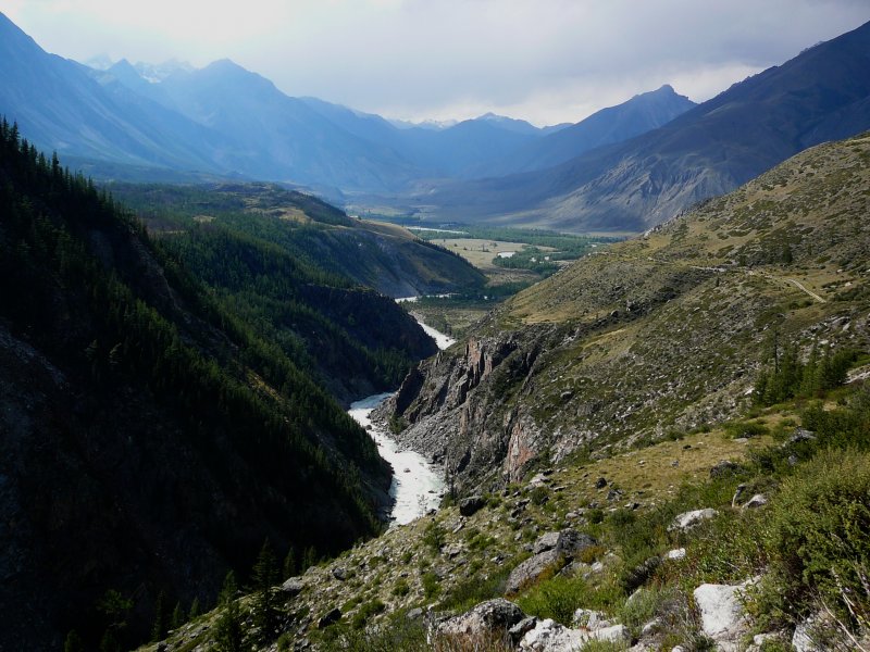 Река Аргун горный Алтай