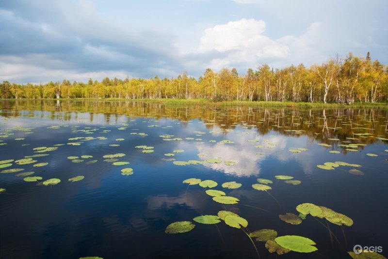 Koli Финляндия национальной парк