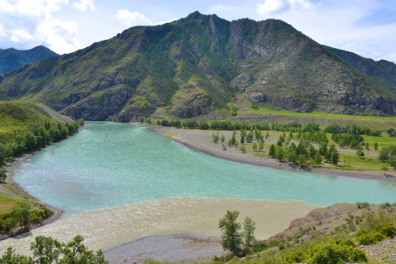 Река Аргут горный Алтай