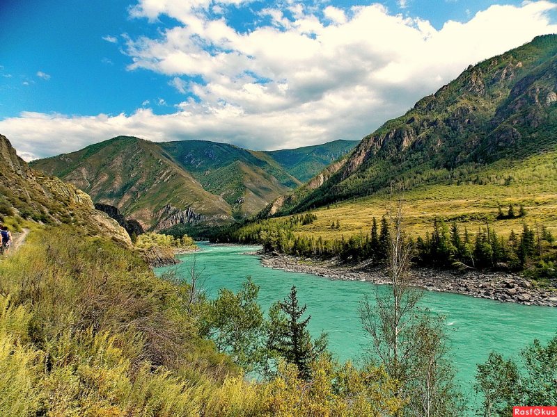 Река Аргут горный Алтай