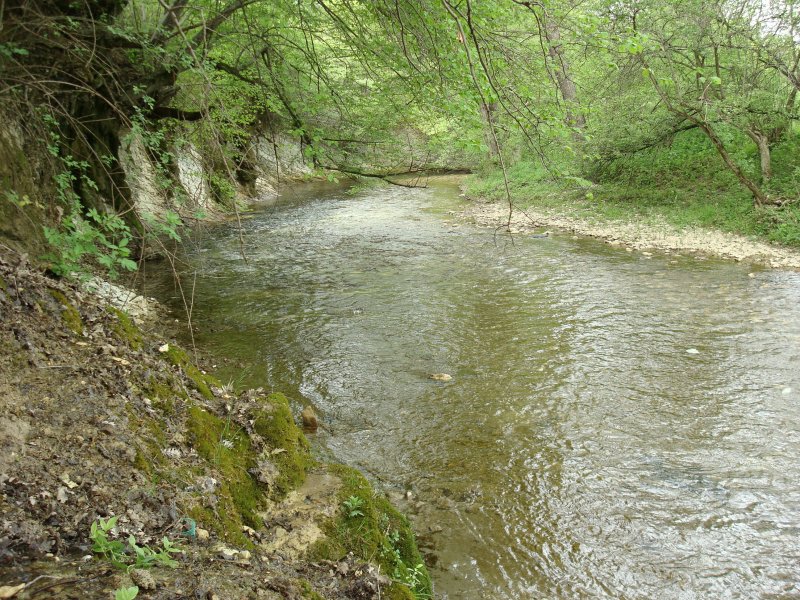 Река Бельбек Севастополь