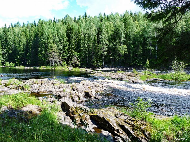 Река Янисйоки Карелия