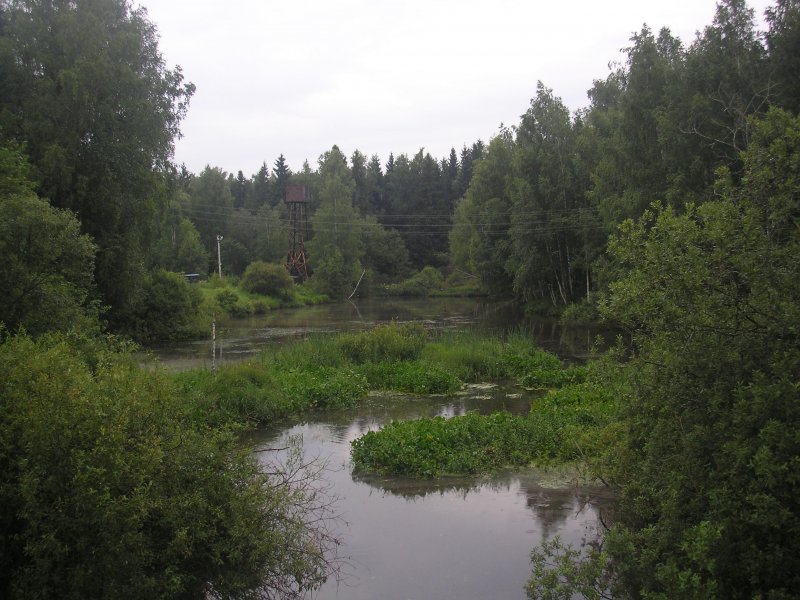 Река Даренка Истринский район