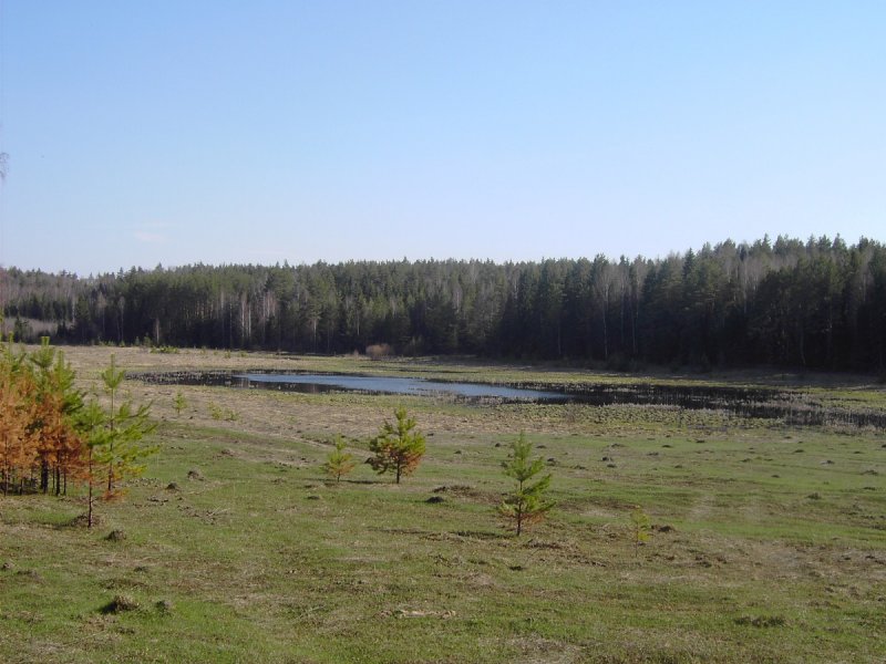 ГЭС на реке Медведица в Волгоградской области