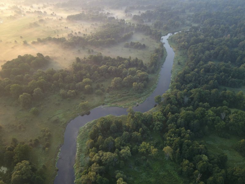 Река Нерусса Брянский лес