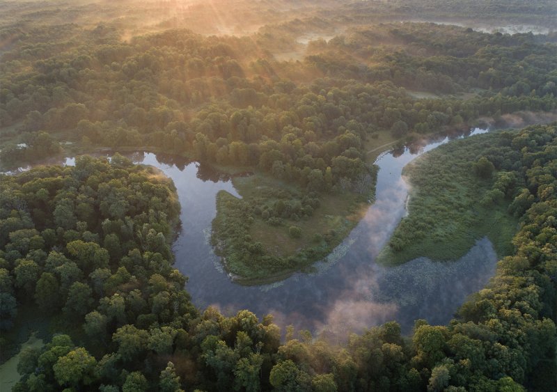Река Нерусса Брянский лес