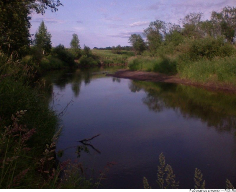 Река Пекша Владимирская область рыбалка