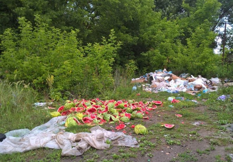 Бытовой мусор на берегу реки