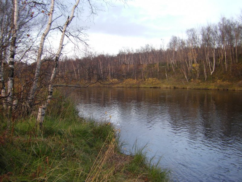 Река Печенга быстрое черчение или медленное