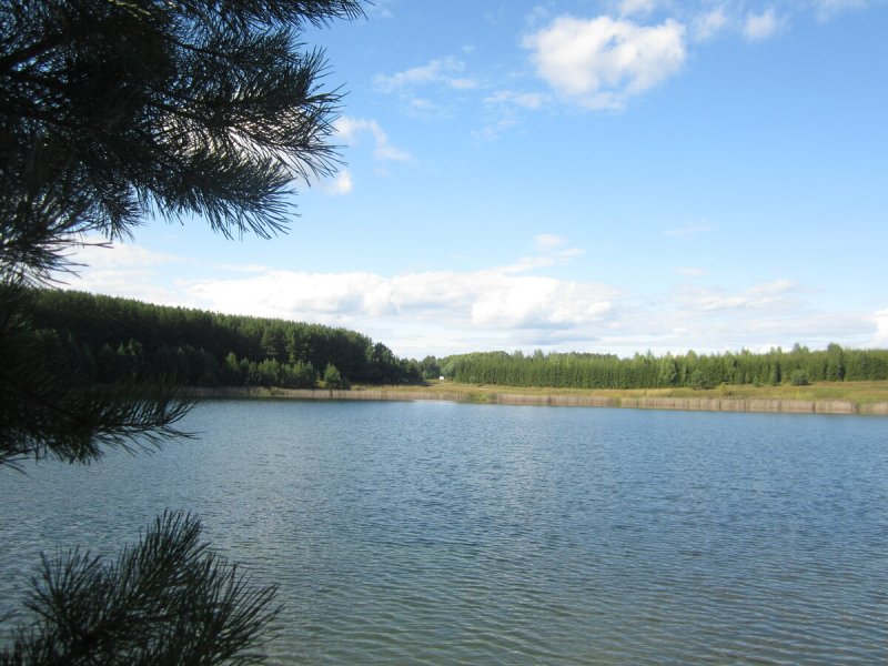 Лежнинское озеро Кировская область