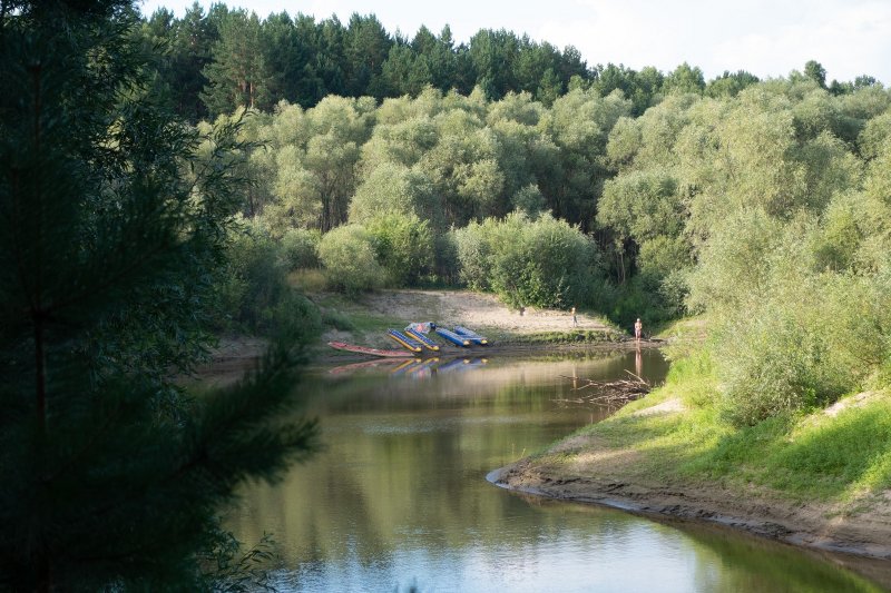 Река Камышинка Муромцевский район
