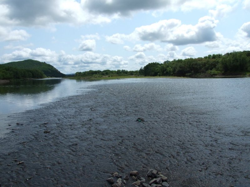 Река Толучеевка в Калаче Воронежской области