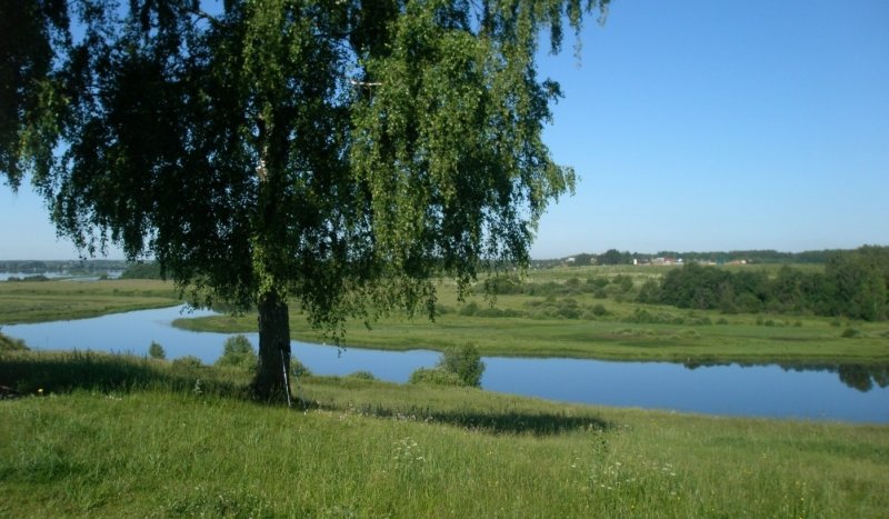 Река Ирдом Костромская область