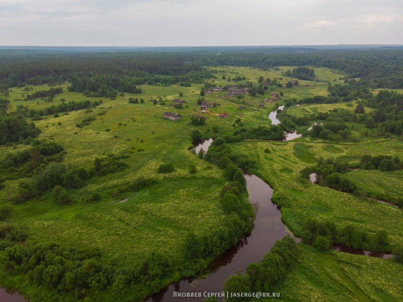 Река Пуя Архангельская область