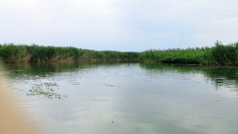 Река Егорлык Сальского района Ростовской области
