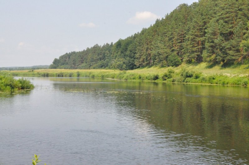 Река Ресса Калужская область