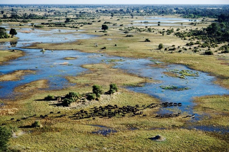 Дикие реки Африки Окаванго