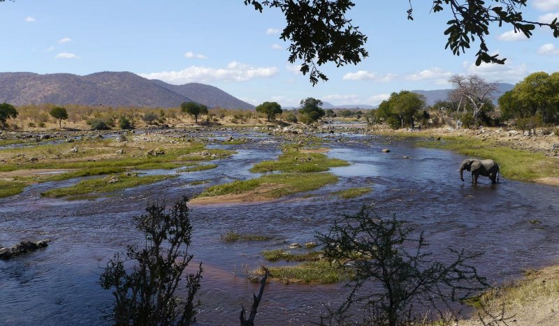 Река Руаха Танзания