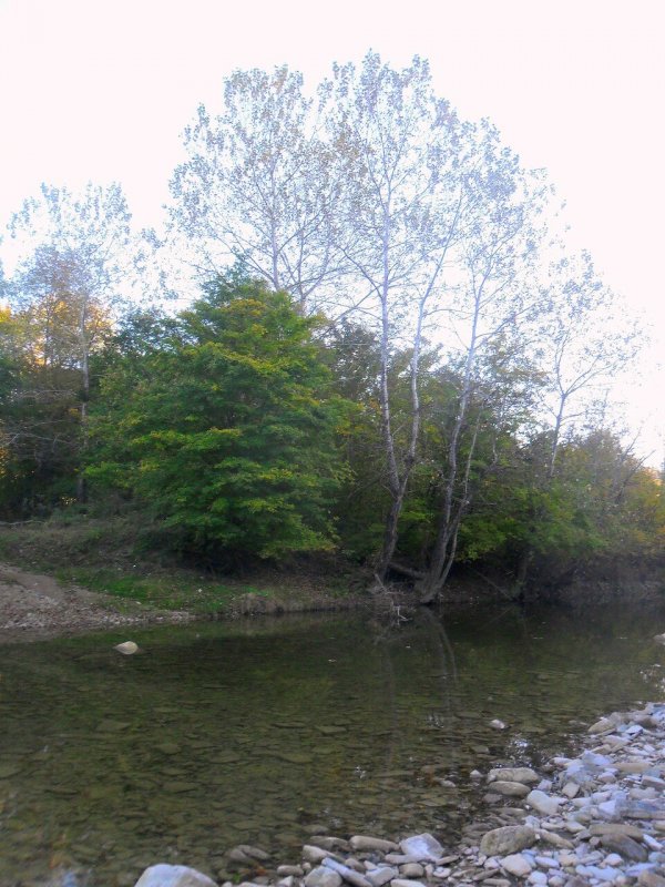 Река биджан