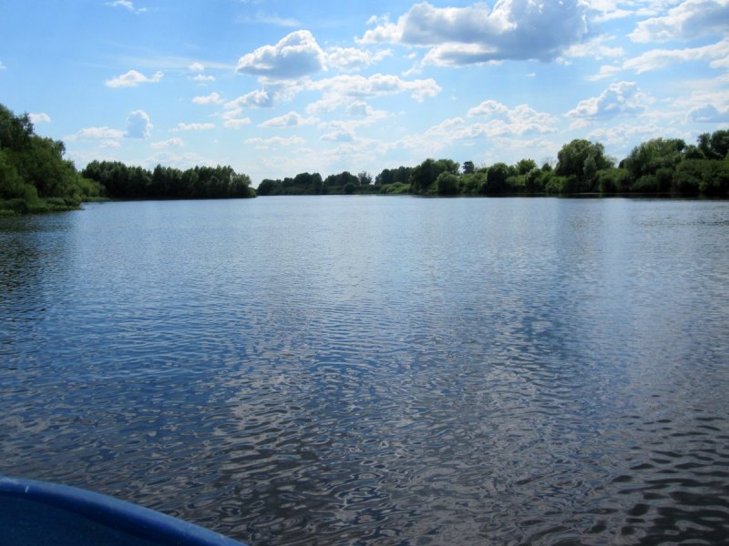 Река Солотча Рязанская область