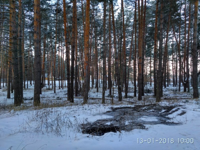 Река Старица Рязанская область Солотча зимой