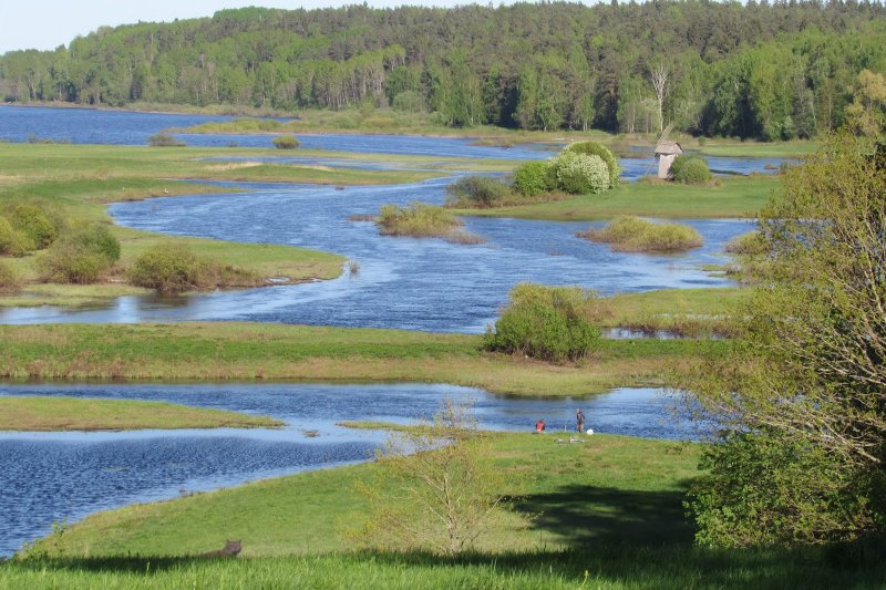 Река Сороть в Пушкинских горах