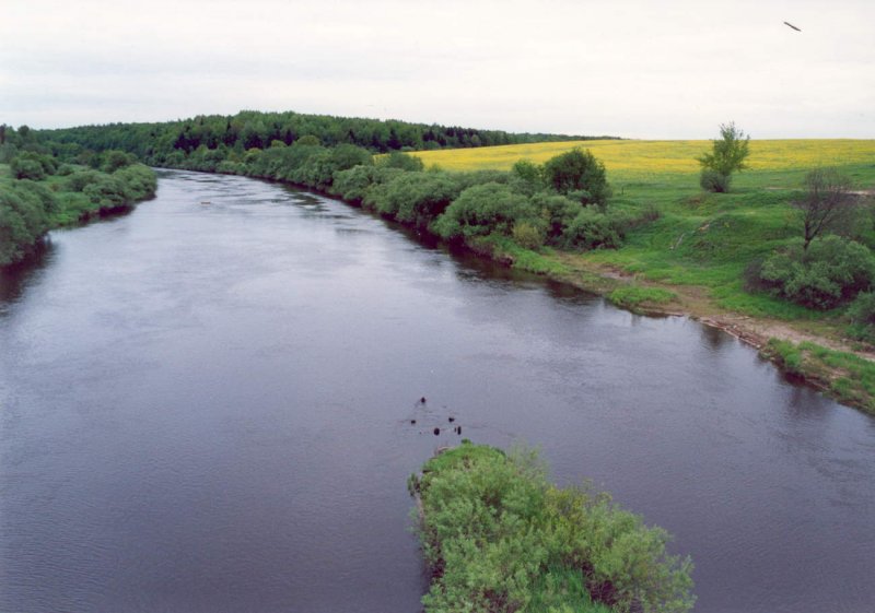 Река Сороть Псковская область Селиваново