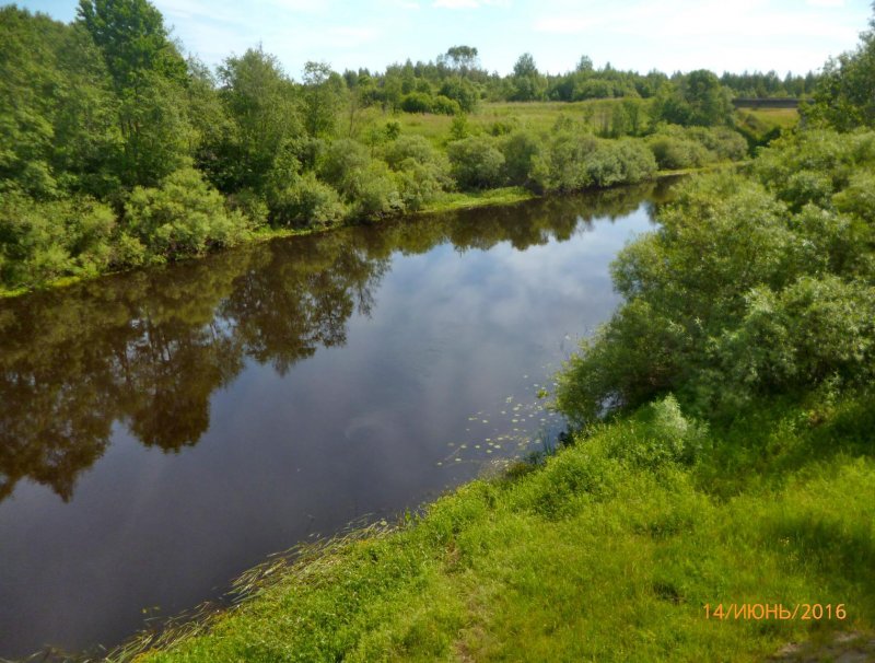 Река Сороть Псковская область