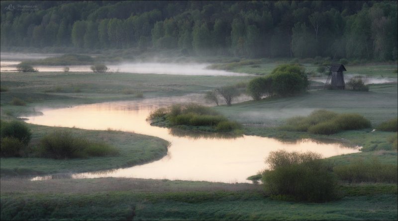 Река Сороть Псковская область Селиваново