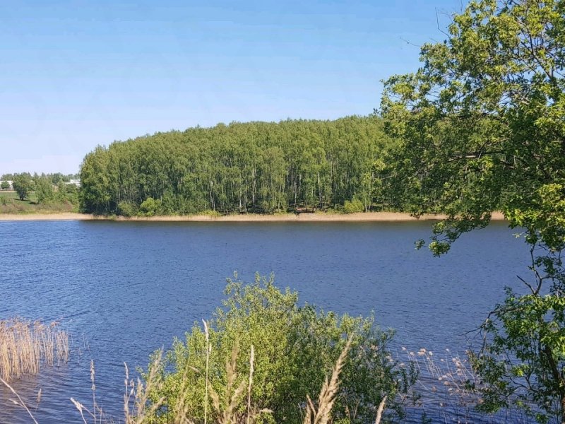Озеро в Кощино Смоленская область