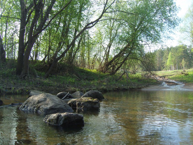 Река Шаня в Полотняном заводе