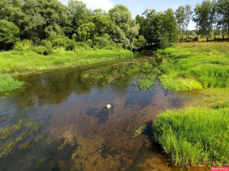 Река Суходрев Калужской