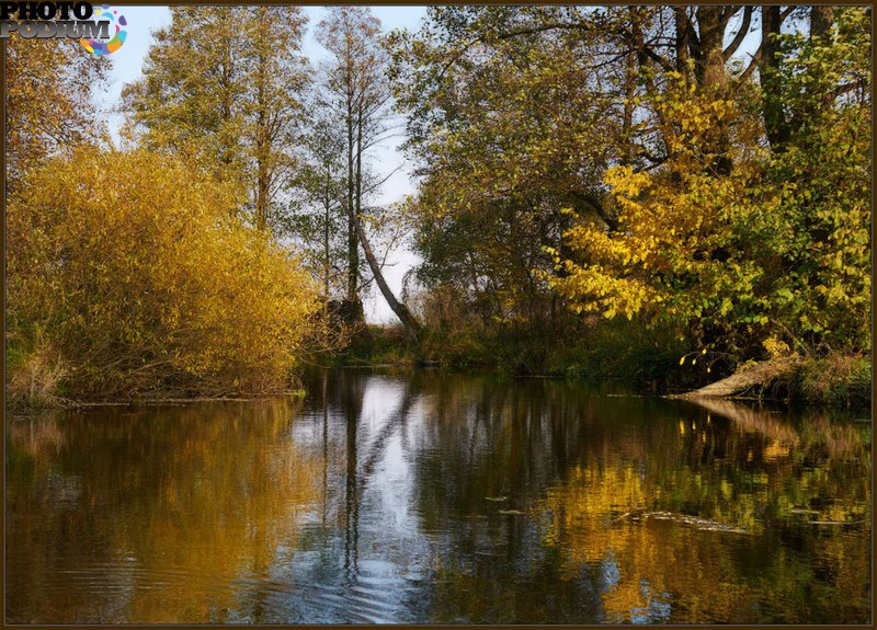 Рыба реки Суходрев Калужской области
