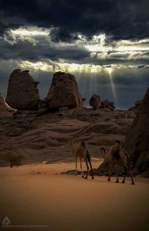 Каменная пустыня Марокко